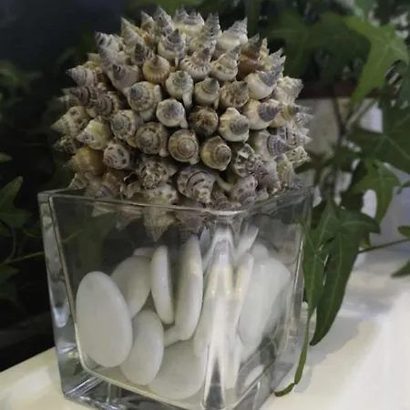 Escapades Lointaines Frühstückspension