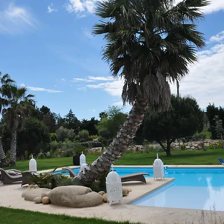 Bed & Breakfast Escapades Lointaines *