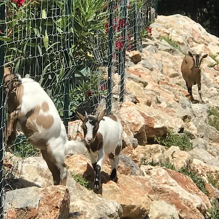 Escapades Lointaines Perpignan